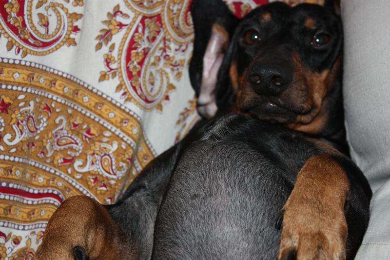 Name:  caspy.JPG
Views: 236
Size:  89.5 KB