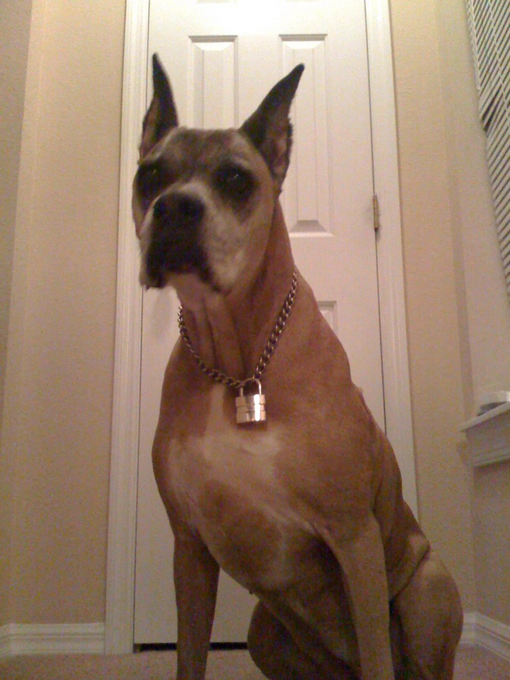 Name:  Picture 001.jpg
Views: 526
Size:  144.6 KB