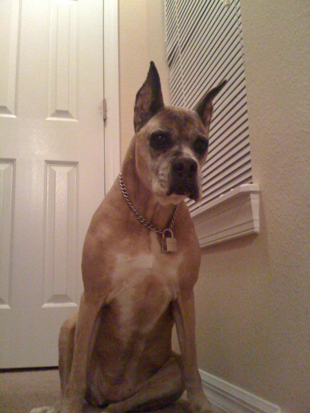 Name:  Picture 002.jpg
Views: 528
Size:  156.9 KB