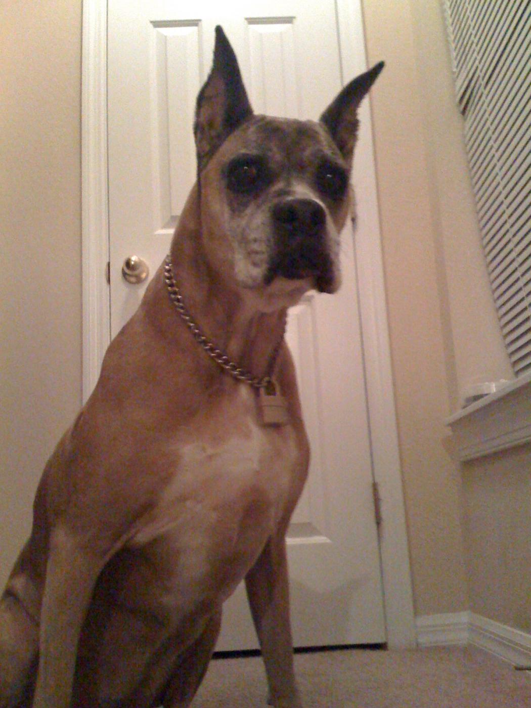 Name:  Picture 003.jpg
Views: 522
Size:  154.1 KB