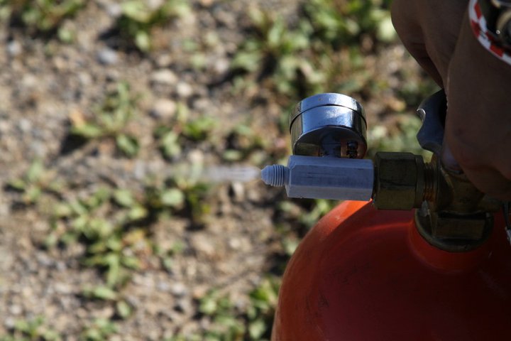 Name:  45374_1492681031502_1068320084_1456539_5671618_n.jpg
Views: 107
Size:  53.2 KB