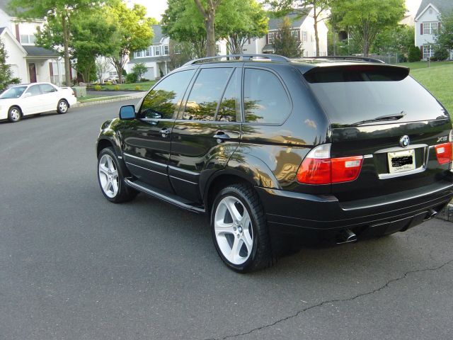 Name:  x5 with 20's 001.jpg
Views: 578
Size:  69.7 KB