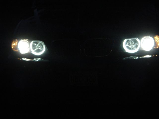 Name:  x5 with 20's 007.jpg
Views: 540
Size:  15.4 KB