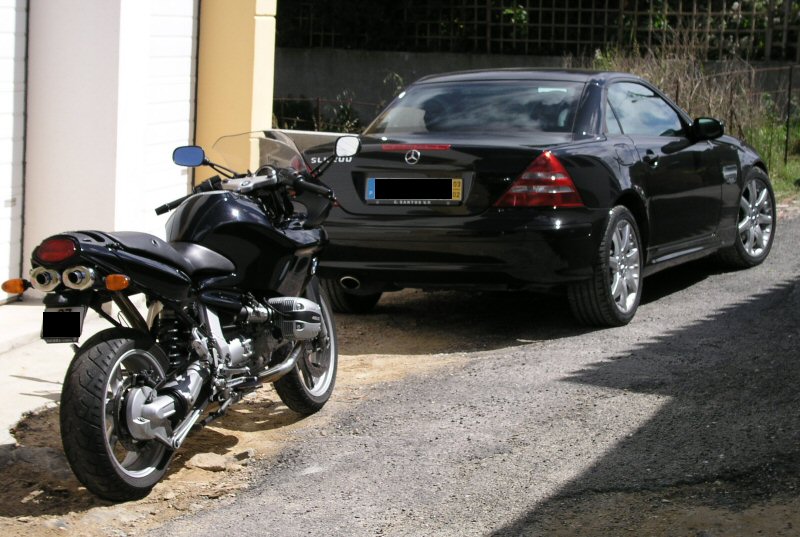 Name:  Black babies 2 and 3.JPG
Views: 4347
Size:  152.8 KB