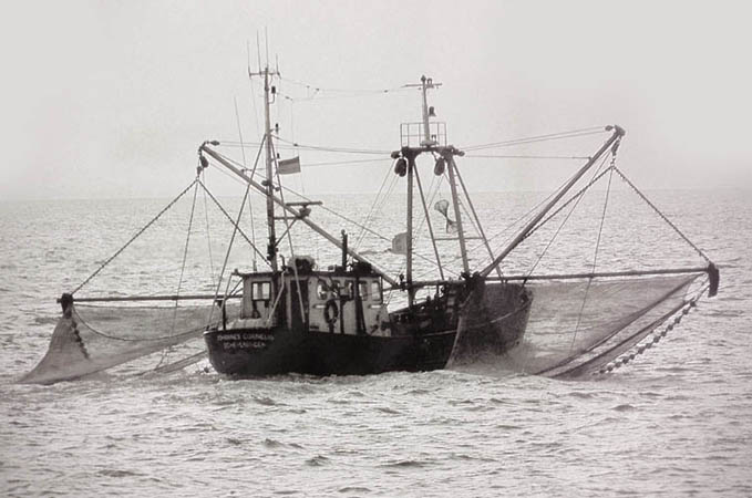 Name:  norseafishbt1.jpg
Views: 495
Size:  73.0 KB