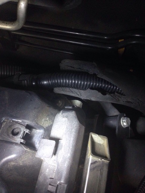 Name:  ImageUploadedByTapatalk1423274122.952993.jpg
Views: 433
Size:  52.6 KB