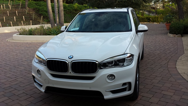 Name:  front view800.jpg
Views: 3854
Size:  149.4 KB