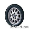 style 14 (10 Spoke Styling)
